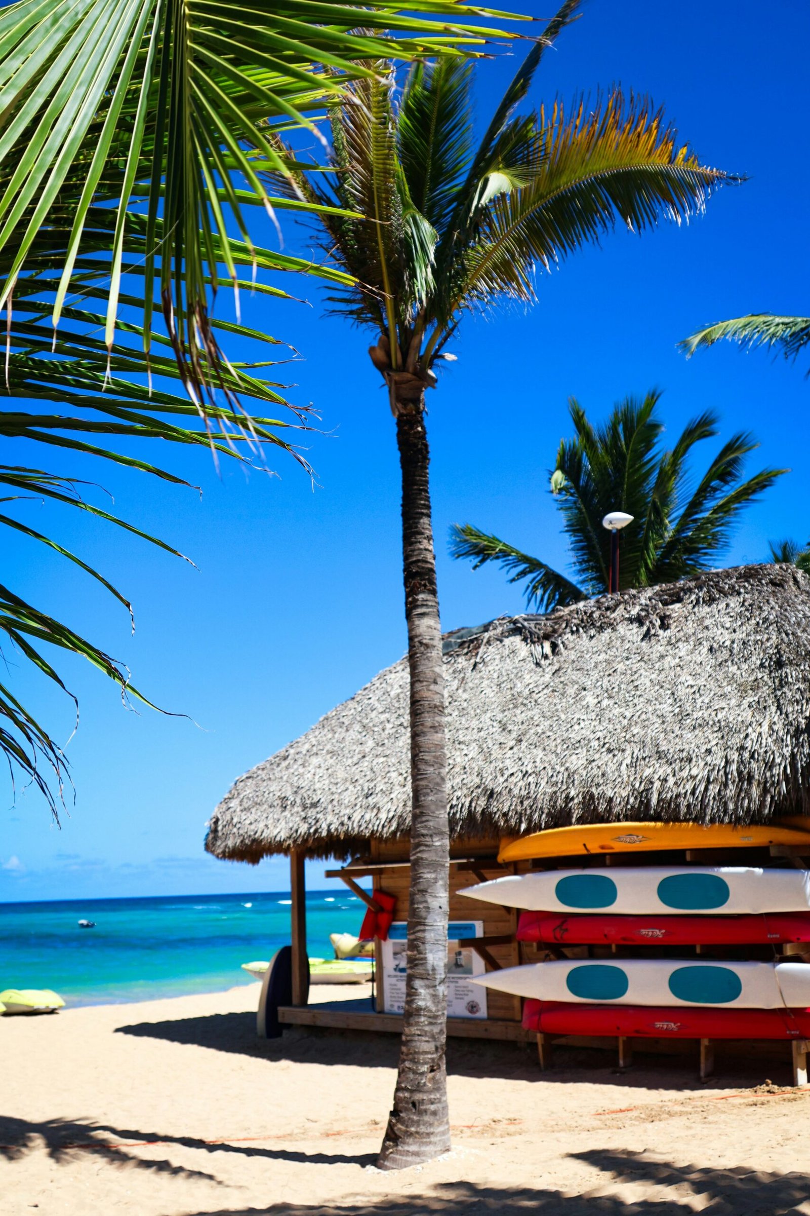 Palm trees, hut, and kayaks on a sunny beach.